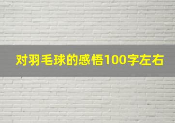 对羽毛球的感悟100字左右