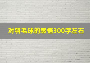 对羽毛球的感悟300字左右