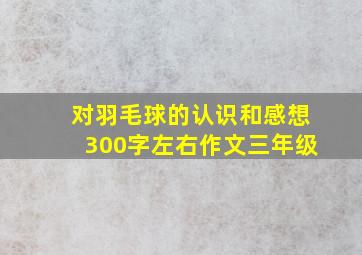 对羽毛球的认识和感想300字左右作文三年级