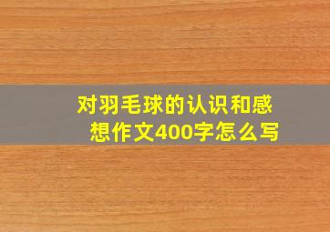 对羽毛球的认识和感想作文400字怎么写