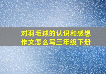 对羽毛球的认识和感想作文怎么写三年级下册