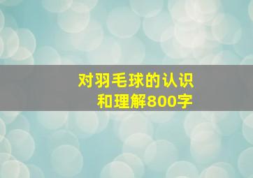 对羽毛球的认识和理解800字