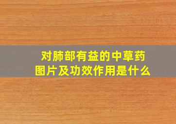 对肺部有益的中草药图片及功效作用是什么