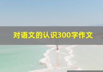 对语文的认识300字作文