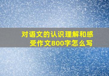 对语文的认识理解和感受作文800字怎么写