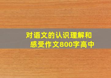 对语文的认识理解和感受作文800字高中