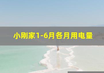 小刚家1-6月各月用电量