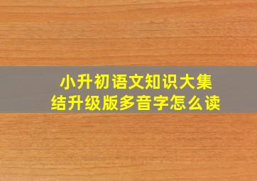 小升初语文知识大集结升级版多音字怎么读