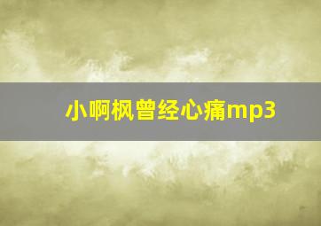 小啊枫曾经心痛mp3