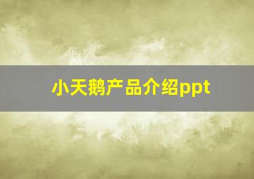 小天鹅产品介绍ppt