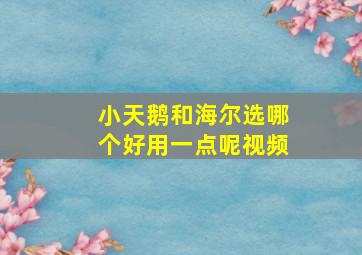 小天鹅和海尔选哪个好用一点呢视频