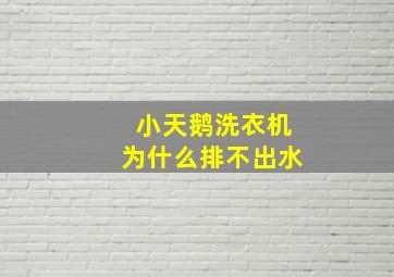 小天鹅洗衣机为什么排不出水