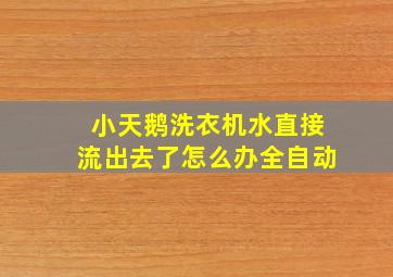 小天鹅洗衣机水直接流出去了怎么办全自动