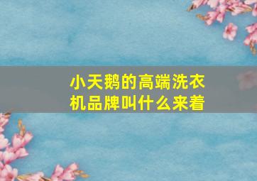 小天鹅的高端洗衣机品牌叫什么来着