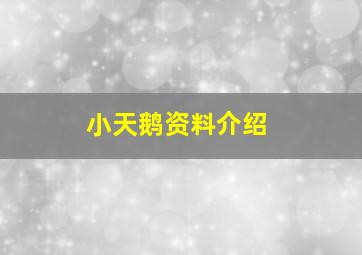 小天鹅资料介绍