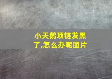 小天鹅项链发黑了,怎么办呢图片