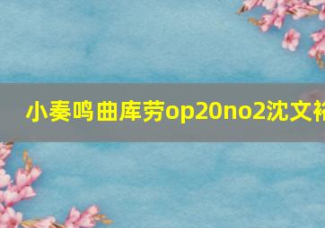 小奏鸣曲库劳op20no2沈文裕