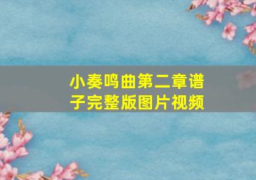 小奏鸣曲第二章谱子完整版图片视频