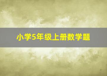 小学5年级上册数学题