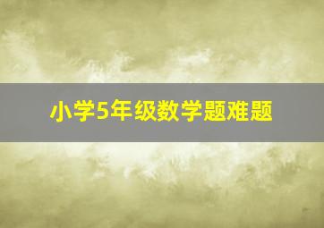 小学5年级数学题难题