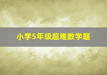 小学5年级超难数学题