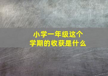 小学一年级这个学期的收获是什么