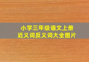 小学三年级语文上册近义词反义词大全图片