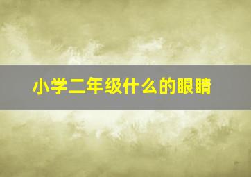 小学二年级什么的眼睛