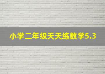 小学二年级天天练数学5.3