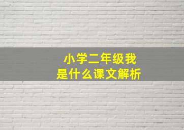 小学二年级我是什么课文解析