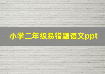 小学二年级易错题语文ppt