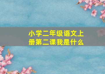 小学二年级语文上册第二课我是什么