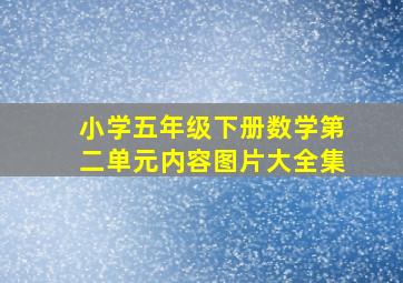 小学五年级下册数学第二单元内容图片大全集