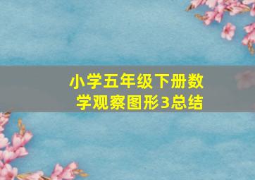 小学五年级下册数学观察图形3总结