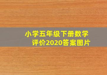 小学五年级下册数学评价2020答案图片