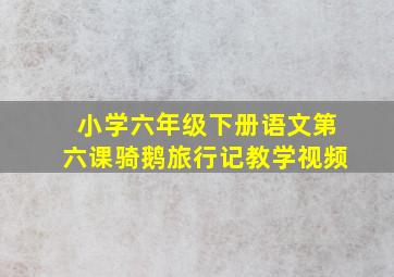 小学六年级下册语文第六课骑鹅旅行记教学视频