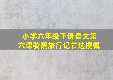 小学六年级下册语文第六课骑鹅旅行记节选梗概