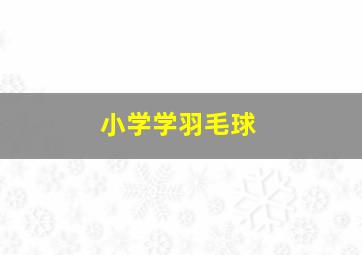 小学学羽毛球