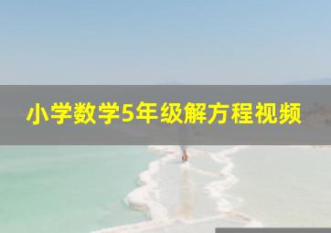 小学数学5年级解方程视频