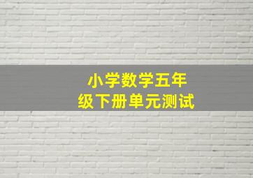 小学数学五年级下册单元测试