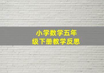 小学数学五年级下册教学反思