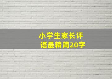 小学生家长评语最精简20字