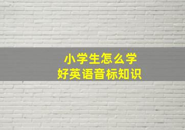 小学生怎么学好英语音标知识