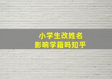 小学生改姓名影响学籍吗知乎