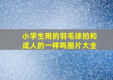 小学生用的羽毛球拍和成人的一样吗图片大全