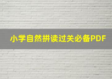 小学自然拼读过关必备PDF