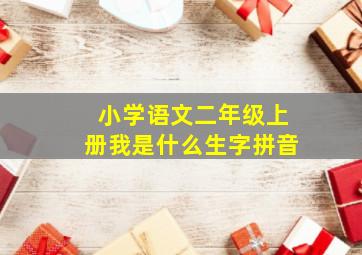 小学语文二年级上册我是什么生字拼音