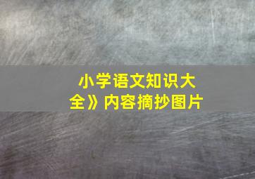 小学语文知识大全》内容摘抄图片