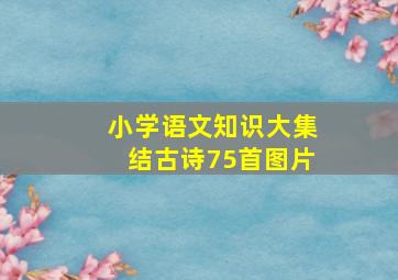 小学语文知识大集结古诗75首图片