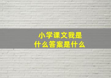 小学课文我是什么答案是什么